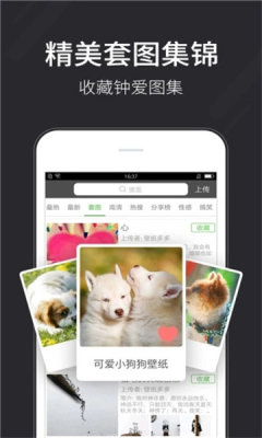 全自动壁纸app(1)