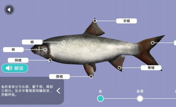 小学科学XR教室(2)