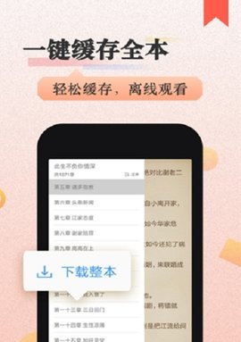 猫念小说正版(1)