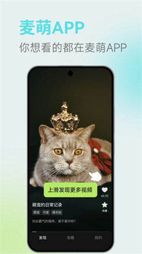 麦萌短剧(3)