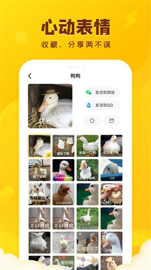 闪萌表情app(2)