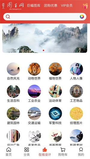 图王网app(3)