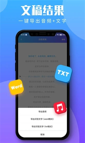 录音转文字助理app(3)