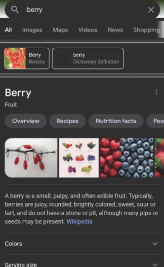 berry浏览器(3)