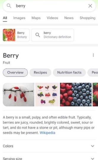 berry浏览器(4)