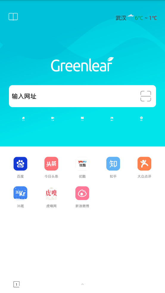 绿叶浏览器app(1)