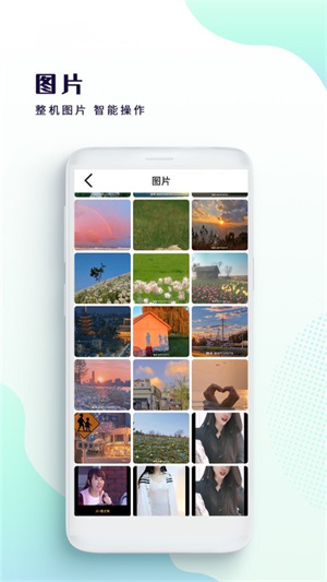绿雾影视(2)