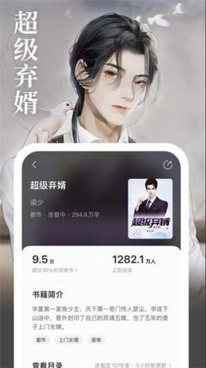 琅阅小说(1)