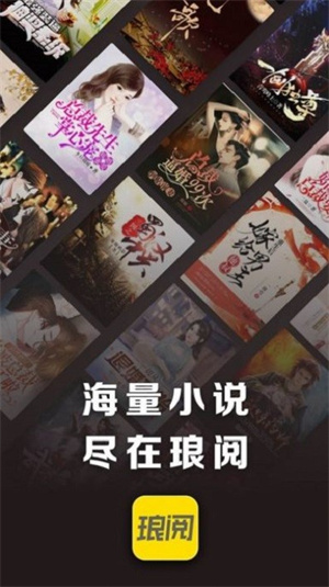 琅阅小说(2)