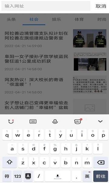 蜜柚浏览器app(2)