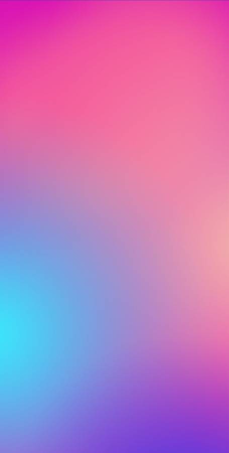 海星小说app(1)