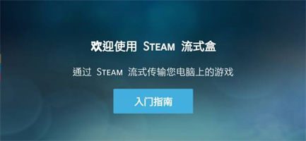 SteamLink(2)