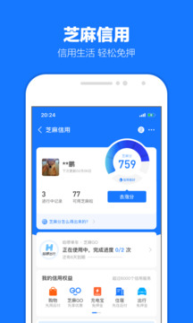 支付宝蚂蚁花呗app(3)