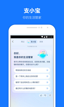 支付宝蚂蚁花呗app(4)