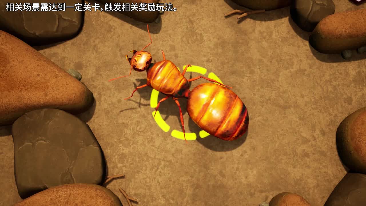 守望家园(3)