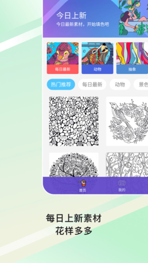 paint数字填色(3)