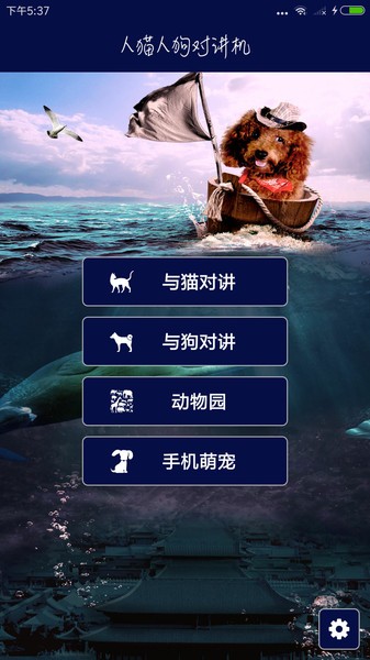 人猫人狗对讲机(3)