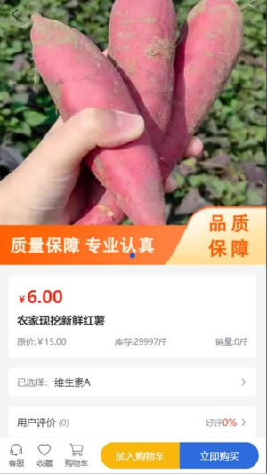 蒲鑫餐饮(3)