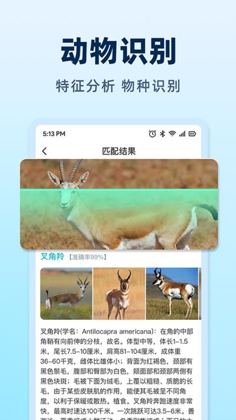 AI挑瓜(1)