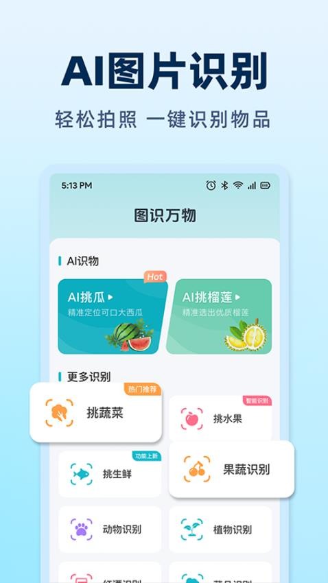AI挑瓜(3)
