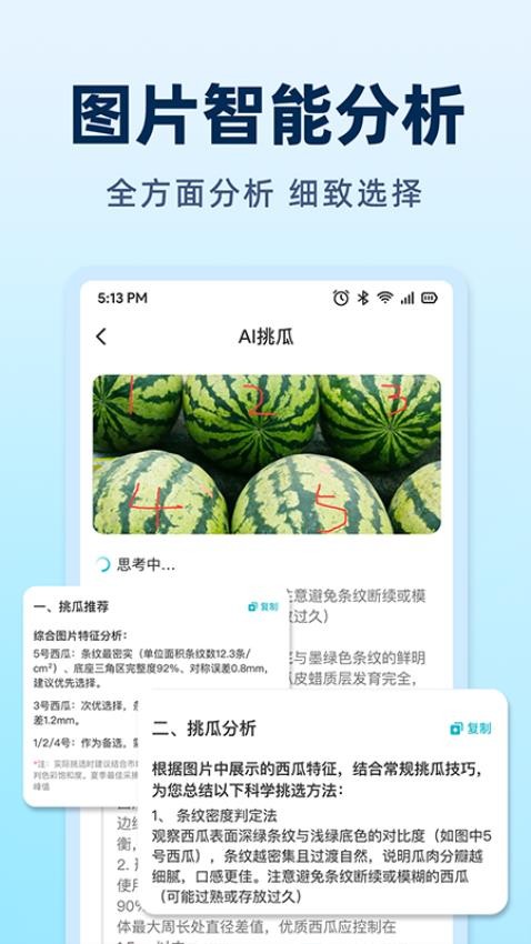 AI挑瓜(2)