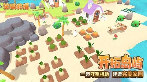 笨猫救援(1)