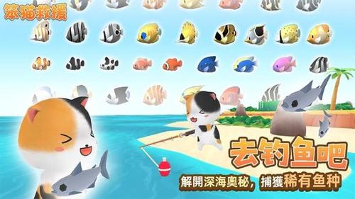 笨猫救援(2)