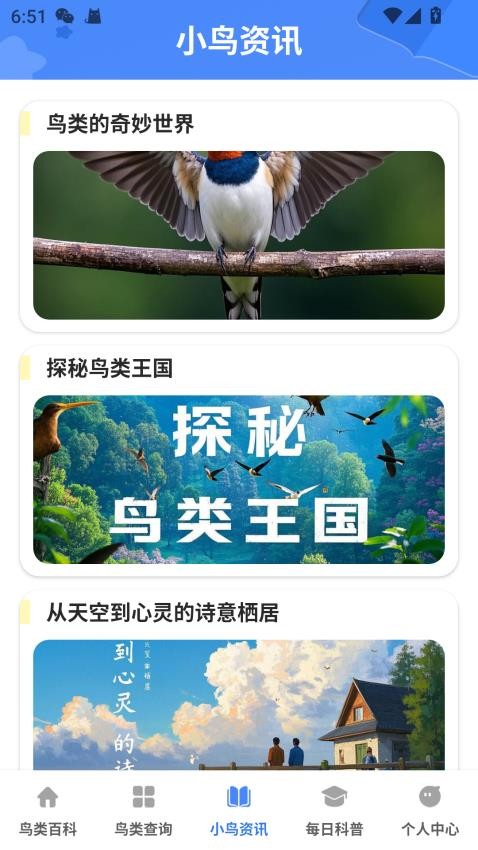 小鸟合不停(2)