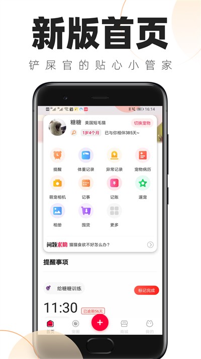 铲屎官的日常最新版(1)
