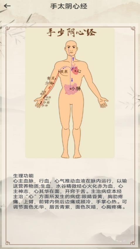 中医经络穴位图解(2)