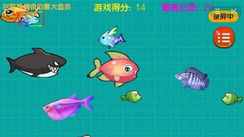 大鱼吃小鱼之鱼鱼大作战(3)