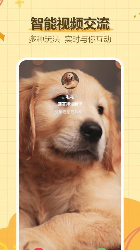 猫言狗语翻译官(1)