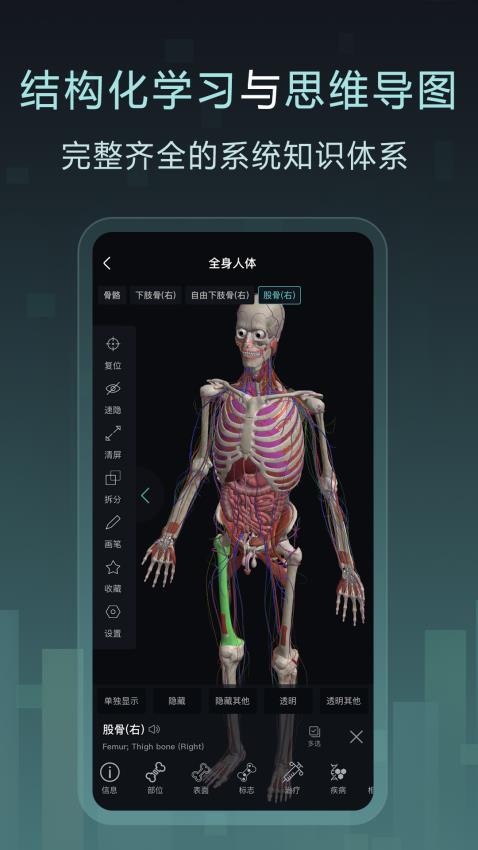Easy解剖(3)