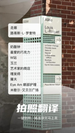 王牌翻译官(3)