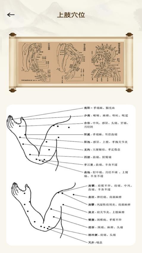 倪海厦经络穴位图释(1)