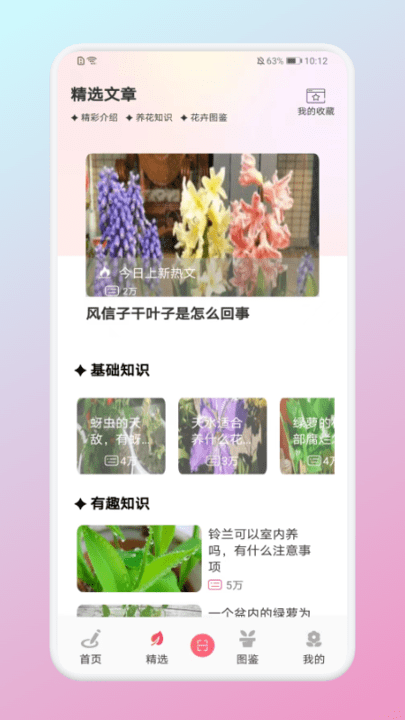 养花宝(3)