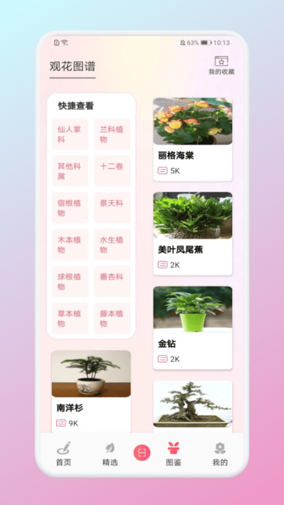 养花宝(2)