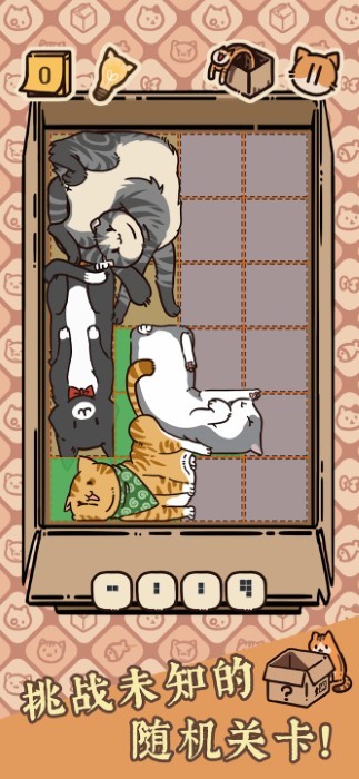 盒子猫(3)