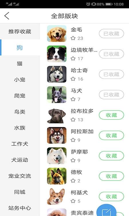 宠物之家宠物店(2)