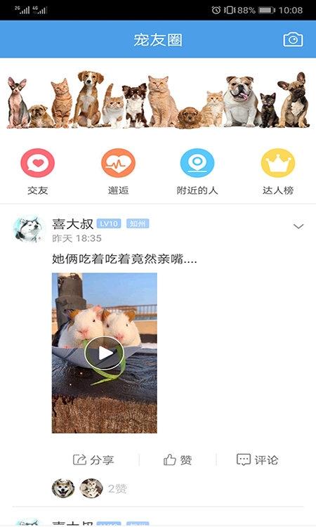 宠物之家宠物店(3)