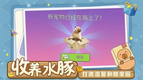 萌宠卡皮巴拉模拟(1)
