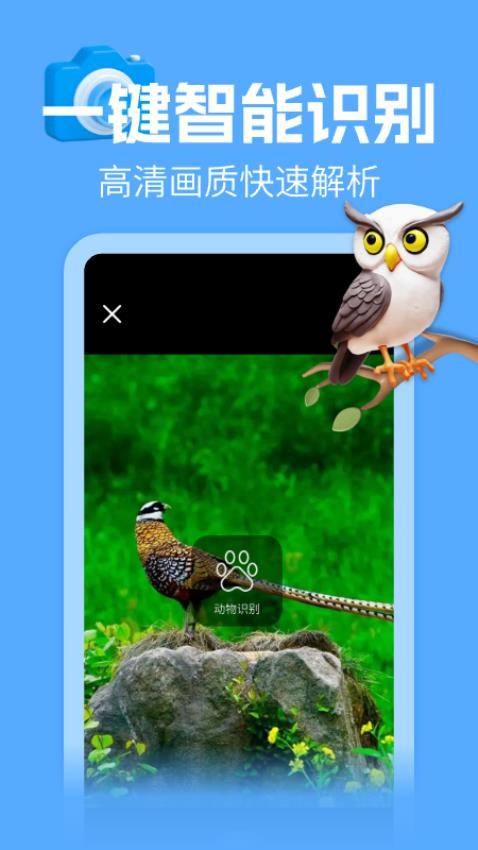 动物百科大全(2)