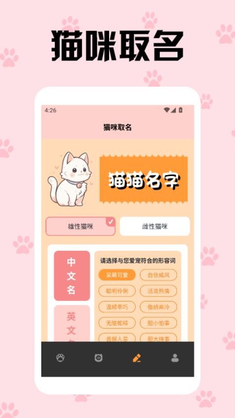 活力猫咪交流器(3)