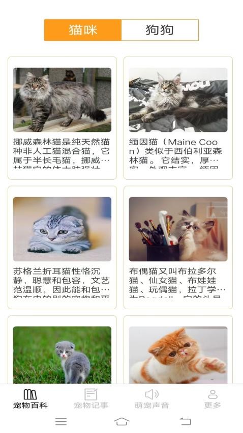 宠趣点点(1)