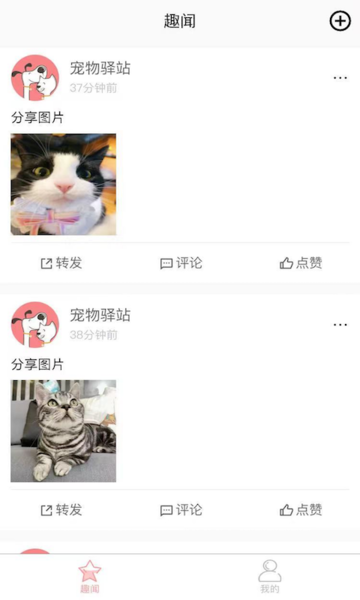 宠物驿站(3)