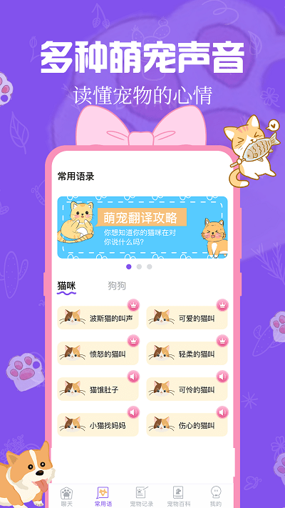 趣味动物翻译器(2)