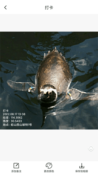 打卡定位(3)
