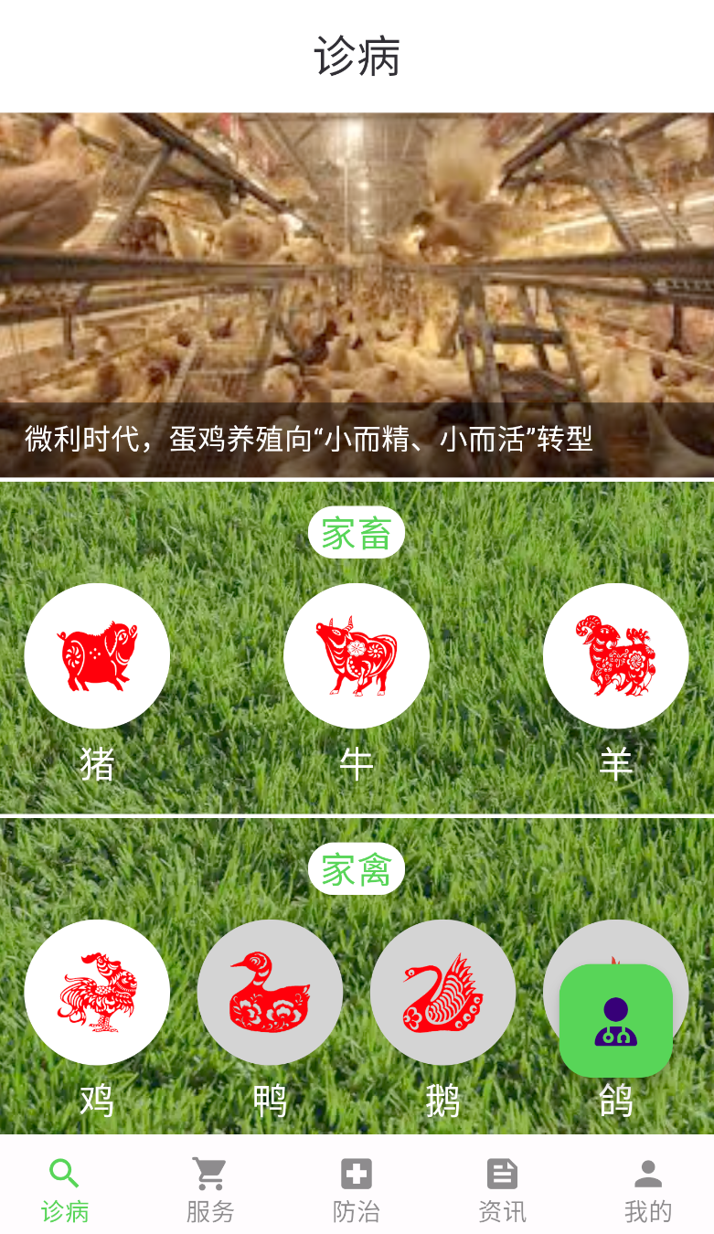 百畜兴旺(3)