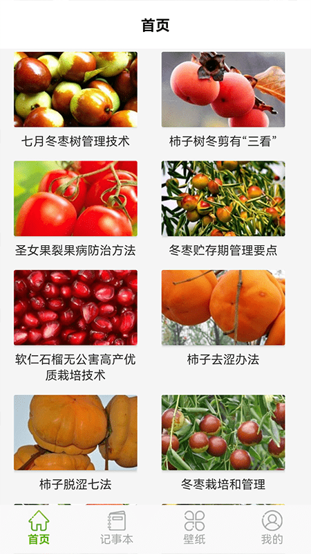 黄果树知识(3)