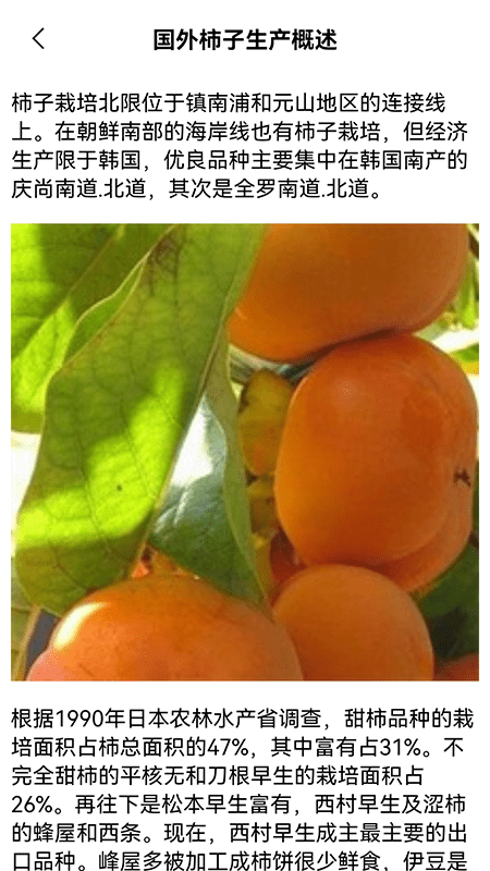 黄果树知识(1)